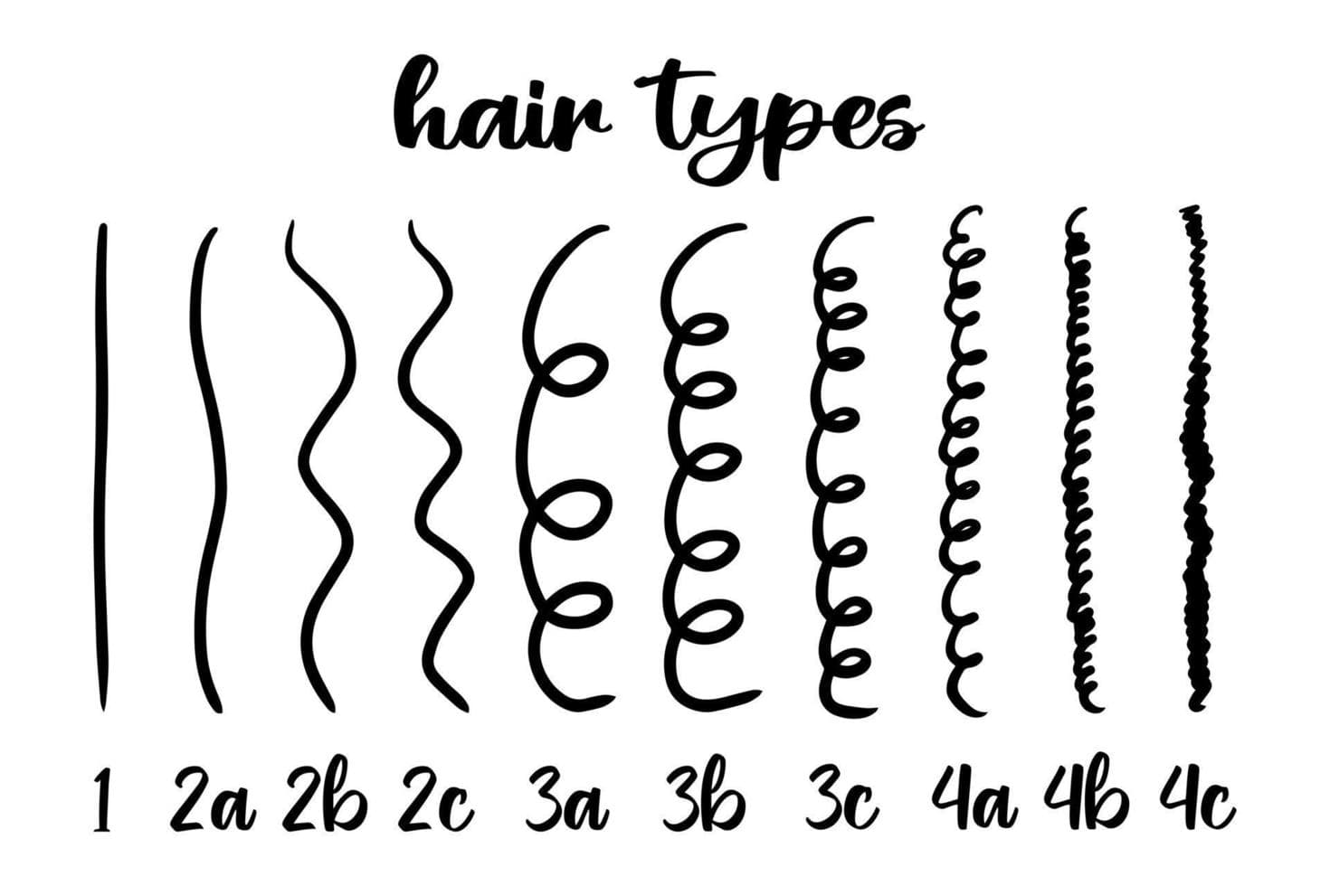 Classificazione dei capelli ricci